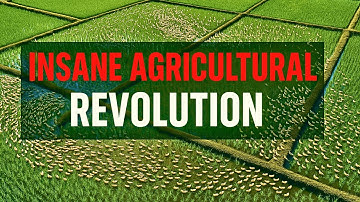 Japan Released Thousands of Ducks into Rice Fields. One Year later, Result is INSANE