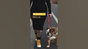 Why do I need to “break” after heeling with my dog? #shorts #nobaddogs #dogtraining