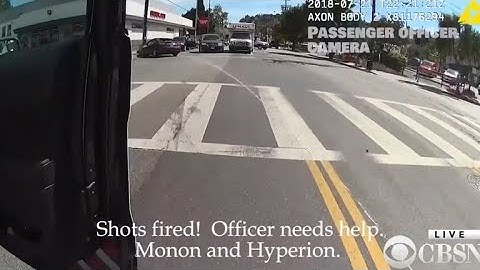 LAPD officer fired fatal shot during gun battle at Trader Joe