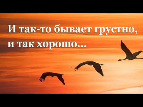 🍂 Михаил Пришвин. Осеннее утро | Рассказы для детей