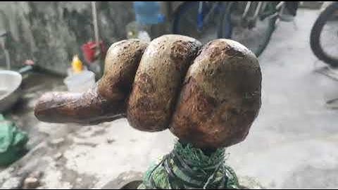 M652 gl  trăm bầu 350k Lh0707713796khuongbonsai