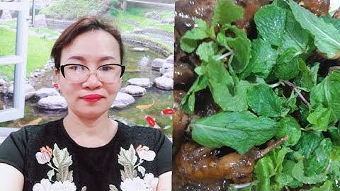 Chim cút khìa nước dừa siêu ngon