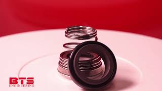 Mechanical seal Торцеве ущільнення Торцевое уплотнение R-BT-FN  NU Uszczelnienie mechaniczne