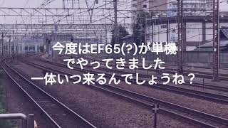 209系伊豆急へ甲種輸送