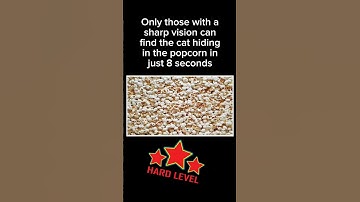 Find Cat 🐈 😻 #shorts #funny #comedy #dog #guess #2024 #new #subscribe #youtube #viral #trending