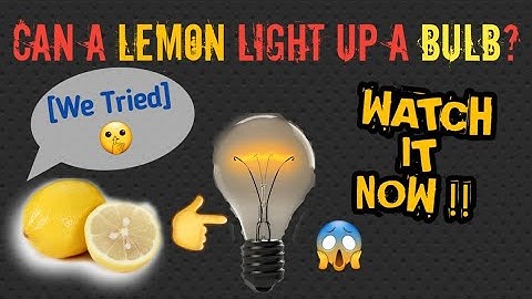 Simple Circuit with Lemon/Working Model of simple circuit/Physics project for exhibition/Kansal