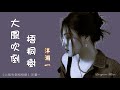 大風吹倒梧桐樹 Da Feng Chui Dao Wu Tong Shu 洋瀾一 Yang Lan Yi 動態歌詞 Pinyin Lyrics Music 大風吹倒梧桐樹 Da Feng Chui Dao Wu Tong Shu 洋瀾一 Yang Lan Yi 動態歌詞 Pinyin Lyrics Music