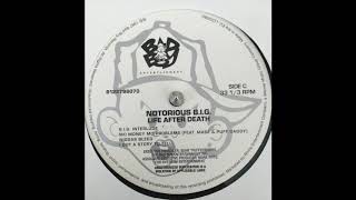 Notorious BIG - Niggas Bleed (HQ)