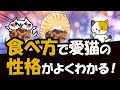 猫の食事中の癖や食べ方で愛猫の性格・気持ちを解説!