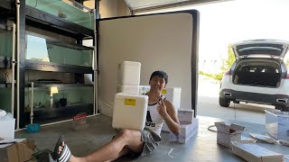 The Step-by-Step Guide to Shipping Live Fish the MO Aquatics Way