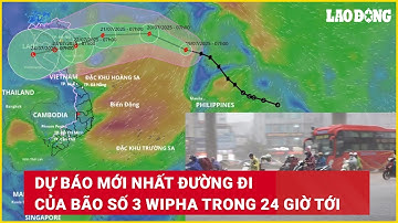 Dự báo mới nhất đường đi của bão số 3 Wipha trong 24 giờ tới | Báo Lao Động