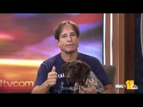 Video: Droopy Eye In Dogs