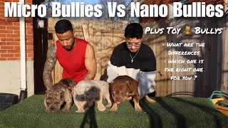 Micro Bully Vs Nano Bully