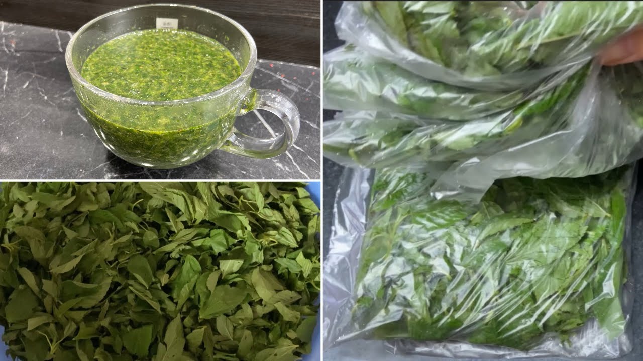 طريقة طبخ الملوخيه المفرزه بطريقتي ورق زي ماهي في الفريزر أسهل وأسرع طريقه 👍👍