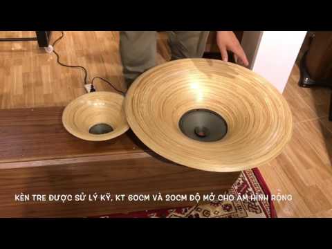 Hoàn Thiện Thùng Loa Kèn Tre Củ Loa Toàn Dải Siemens Klangfilm 20 cm