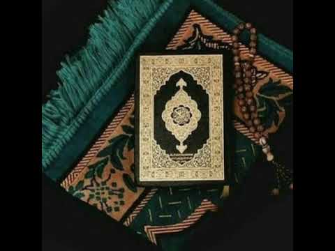 الدكتور إبراهيم إمام من صلاة التراويح