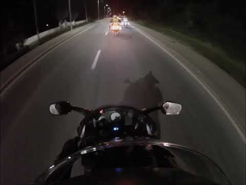 2019 01 19 Viagem &agrave; Vidigueira   4 Alc&aacute;cer   Aveiras