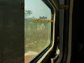Indian Railway Journey | Train Journey #travel #railtravel #train #indianrailways #travelling