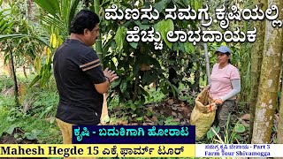 ಮೆಣಸು ಸಮಗ್ರ ಕೃಷಿಯಲ್ಲಿ ಹೆಚ್ಚು ಲಾಭದಾಯಕ  ಕೃಷಿ  ಬದುಕಿಗಾಗಿ ಹೋರಾಟ Farmer Mahesh Hegde Farm Tour 3