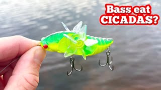 BEST fishing lure during the CICADA hatch? (Crazy action!)