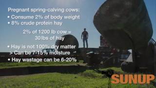 Cow-Calf Corner: Calculating How Much Hay is Needed for Winter (11/12/16)