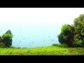 #28.プロが造る水草水槽　～すみだ水族館～ Nature Aquascape a professional makes -SUMIDA AQUARIUM-