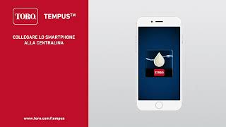 Tempus Modulo Wi Fi - Italian
