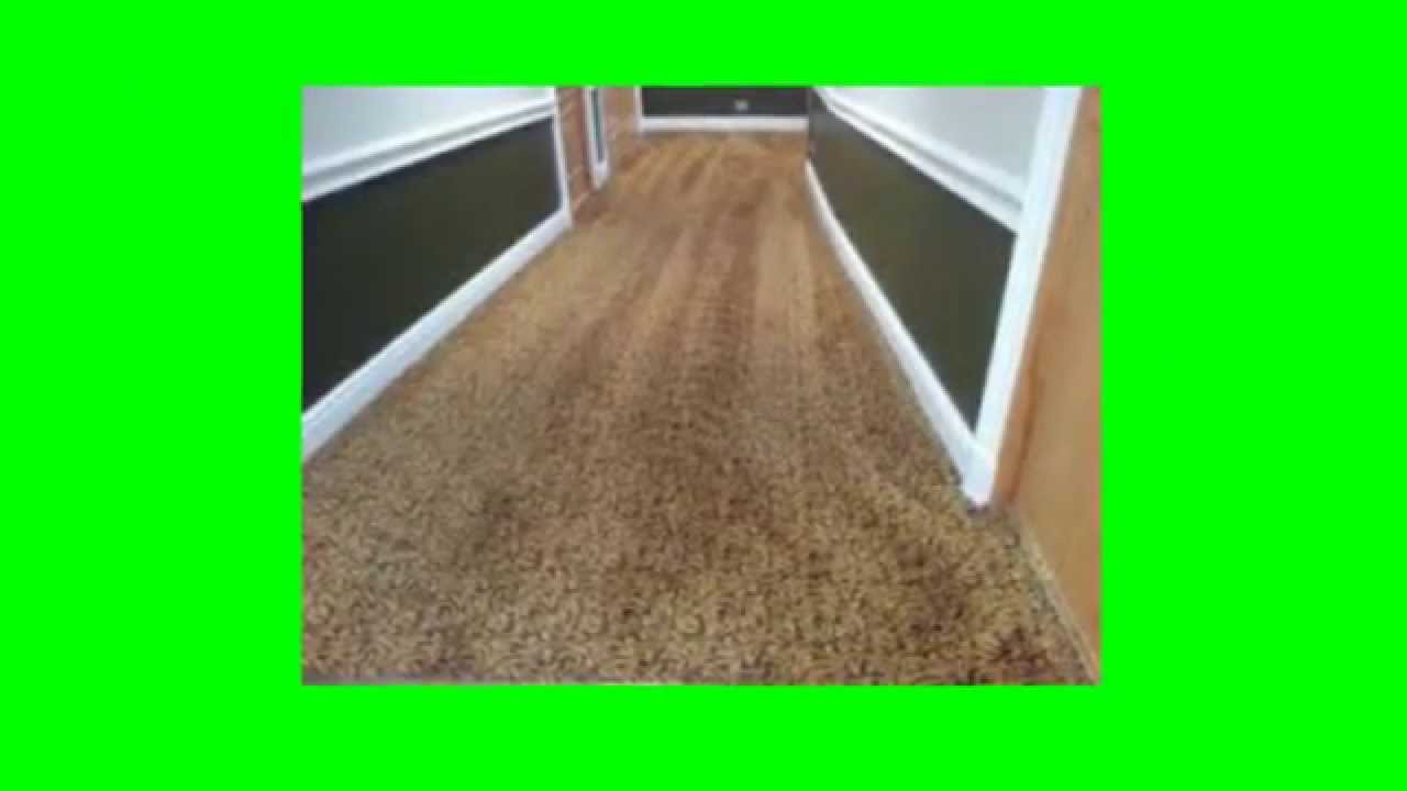 Carpet Cleaning in Pittsburg CA (rent this video) Best Carpet Cleaners