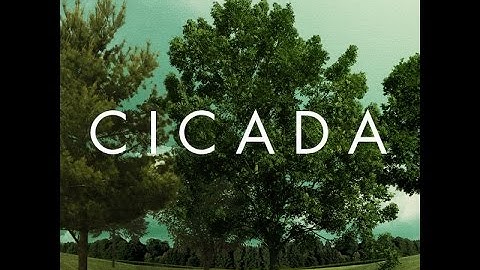 『千里眼 CICADA』予告編