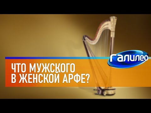 Галилео 🎶 Что мужского в женской арфе?