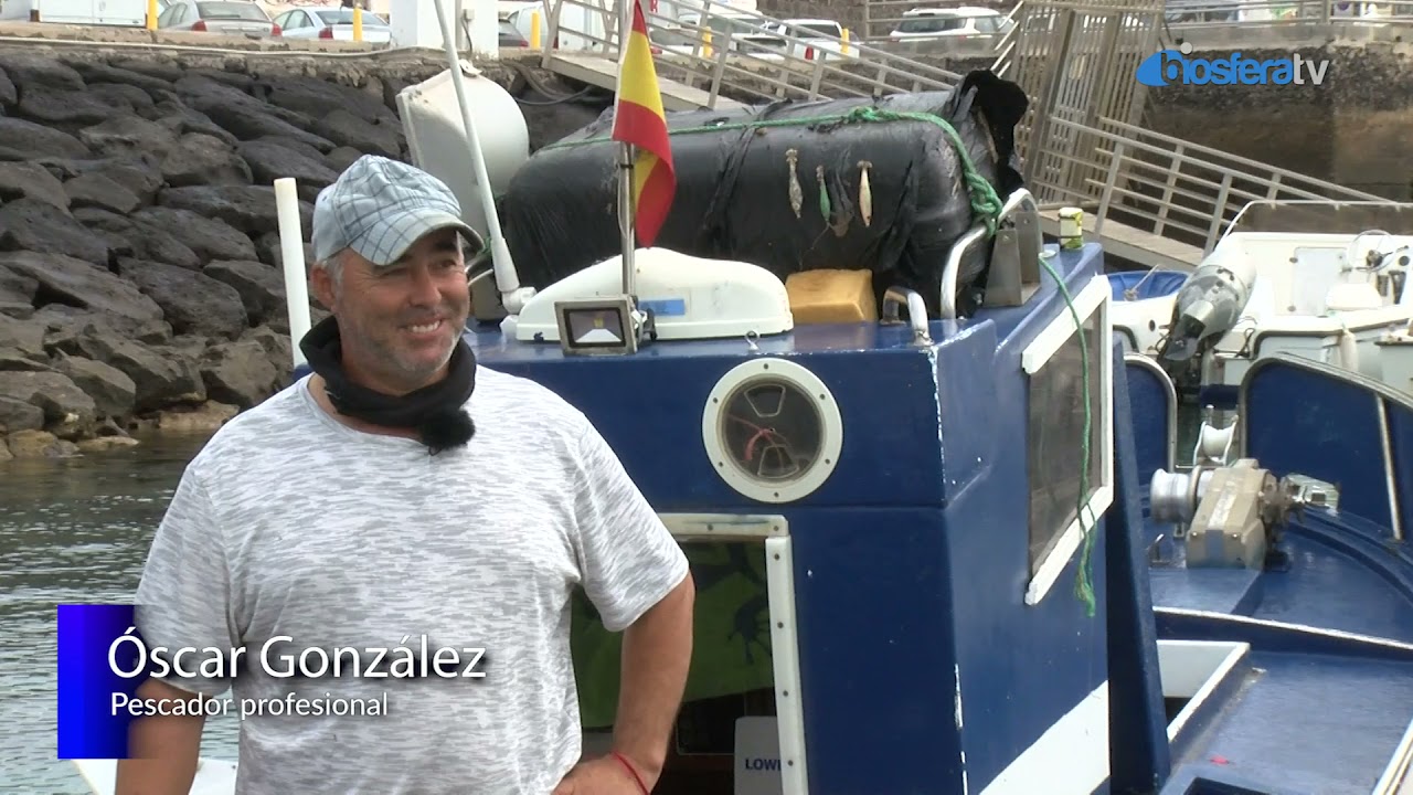 Lanzarote Primario-Cofradía de Pescadores de Playa Blanca