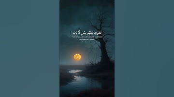 (يوم يقول المنافقون والمنافقات للذين آمنوا) #سورة_الحديد #محمد_اللحيدان