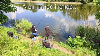 Остання з ОСТАННІХ 🐬🐬🐬 Я не хотів дратувати РИБАКІВ 🥣🥣 Fishing Video