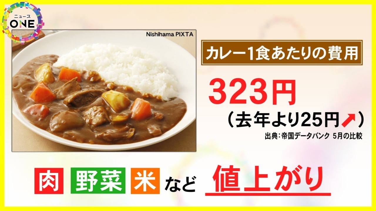 過去10年で最も高く…『カレーライス』値上がり 1食あたりの費用が前年