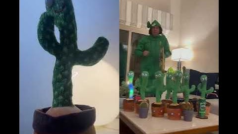 Original Dancing Cactus 🌵| Mimic Sound Dancing Cactus Toy | Review Video