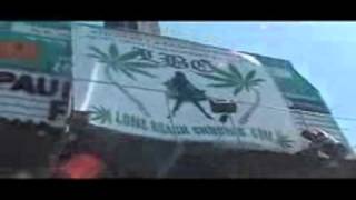Long Beach Chronic.mov
