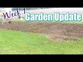 Garden Tour | Week one Garden Update 2020