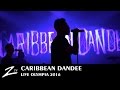 Caribbean dandee  larne  olympia 2016  live