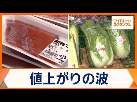 秋の味覚に異変 サケや野菜が高騰 ハクサイ1玉で千円超えも…背景に長雨や日照不足【ワイド！スクランブル】(2026年10月13日)