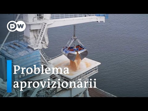 Portul Constanța – Vital pentru transporturile de cereale din Ucraina