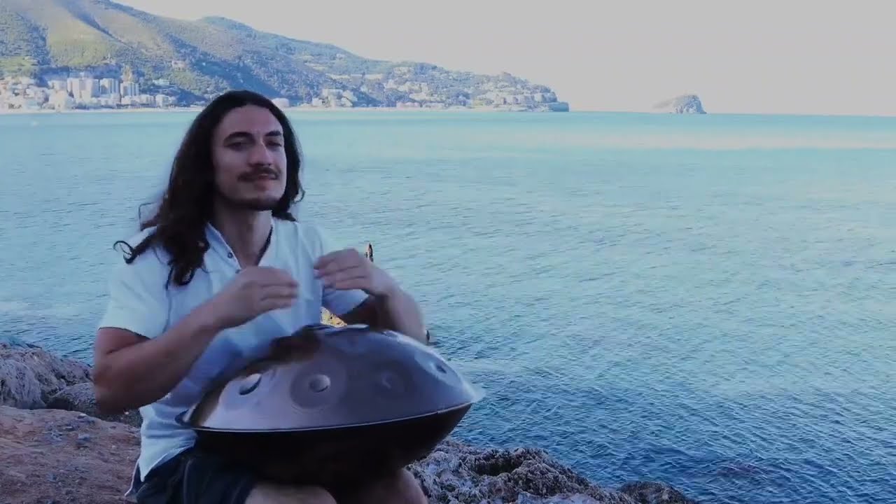 MrPans handpan - D Kurd 12+4 - Halwa