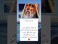 خد من الدنياه ما يكفيك واعطى لربكما يرضيك واعلم السعودية فلسطين العراق معلومات الجزائر خد من الدنياه ما يكفيك واعطى لربكما يرضيك واعلم السعودية فلسطين العراق معلومات الجزائر