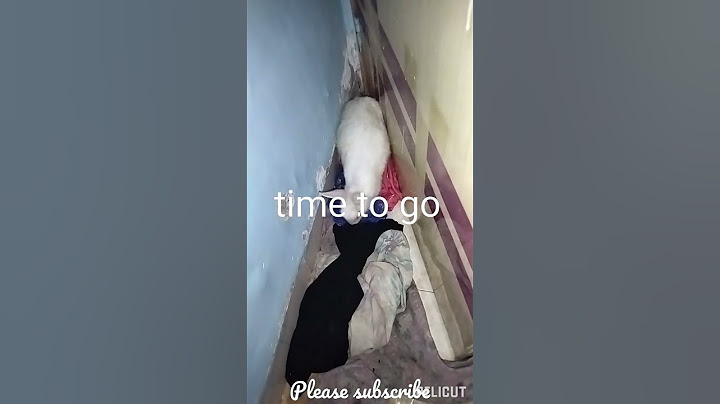 She is going give more babies #having babies#rare delivery#part3