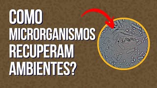 Biorremediação com microrganismos