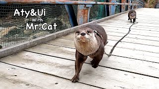 Nothing can match the allure of nature. [Otter life Day 670]