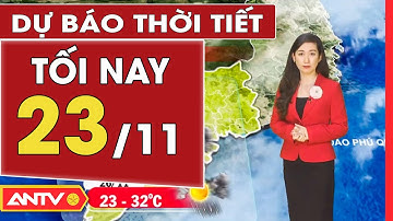 Dự báo thời tiết tối ngày 23/11: Miền Bắc có mưa vừa, cục bộ có nơi mưa to, nhiệt độ giảm | ANTV