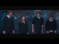 The Weasleys (Hey Brother - Avicii)