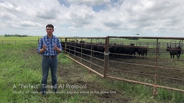 Split-Time AI - Mizzou Repro