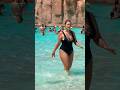 Fun Summer Holiday Water Park Swimming Pool Dream Day 26 Waterpark Swimmingpool 