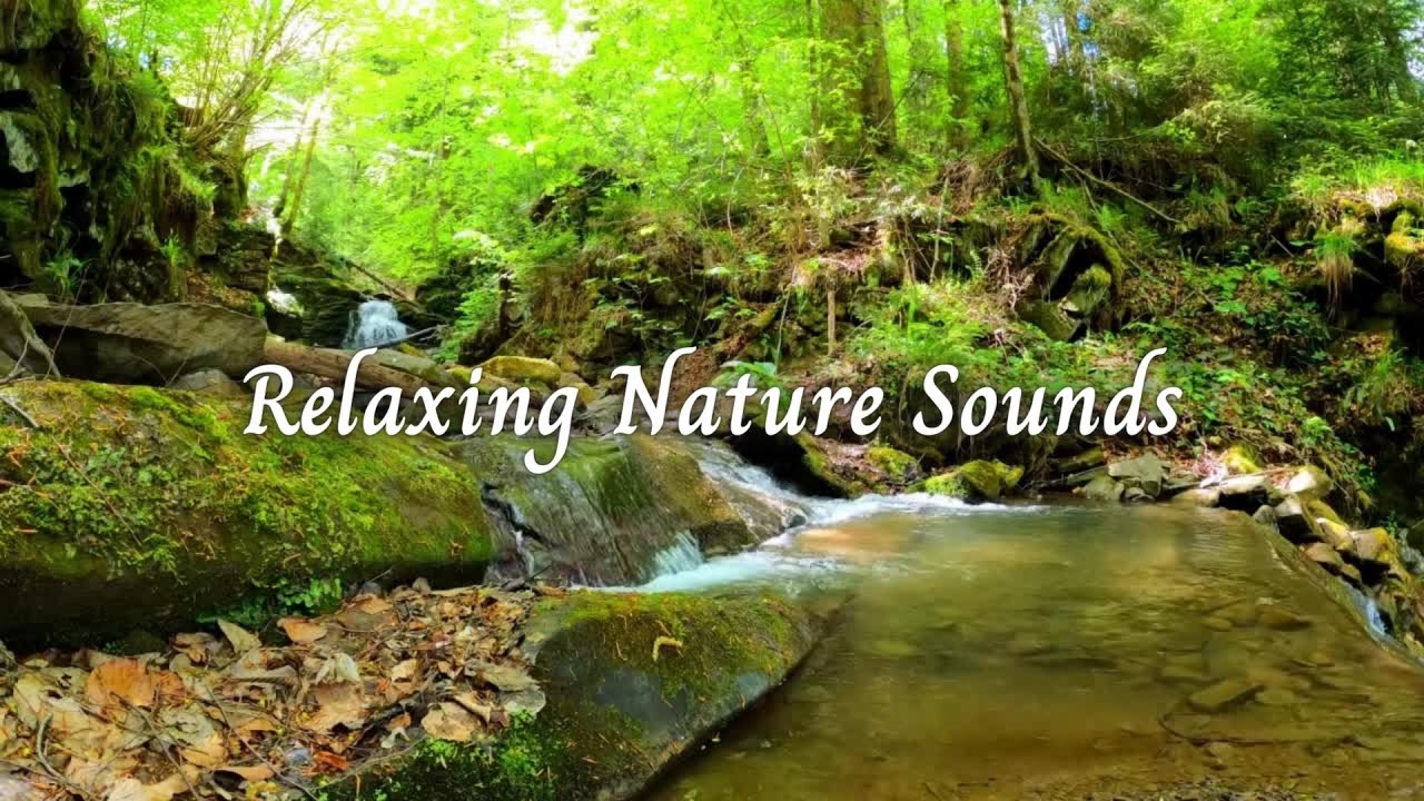 Green Forest Waterfall with Relaxing Nature Sounds - YouTube